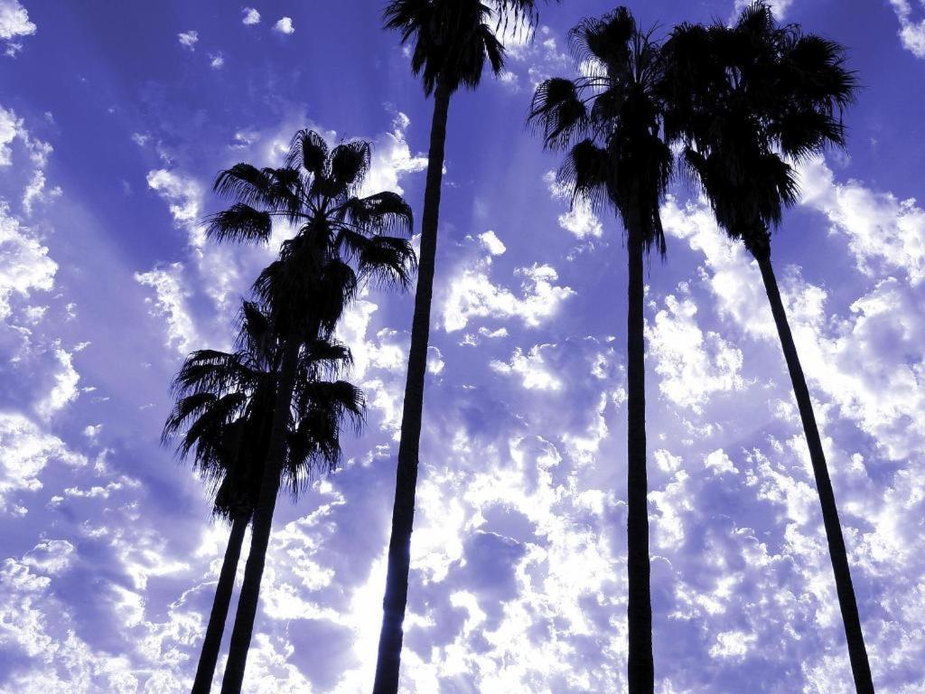 Parker Palm Springs Hotel Bagian luar foto