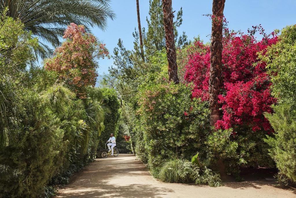 Parker Palm Springs Hotel Bagian luar foto